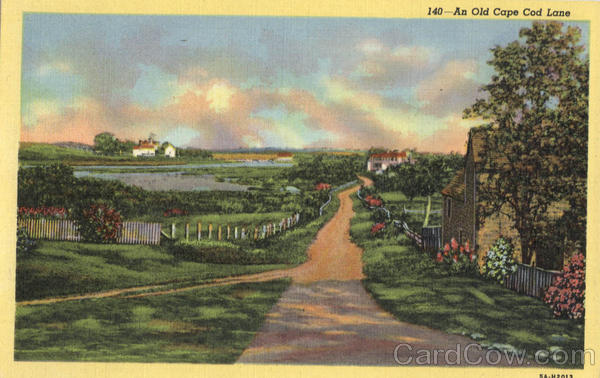 An Old Cape Cod Lane Massachusetts