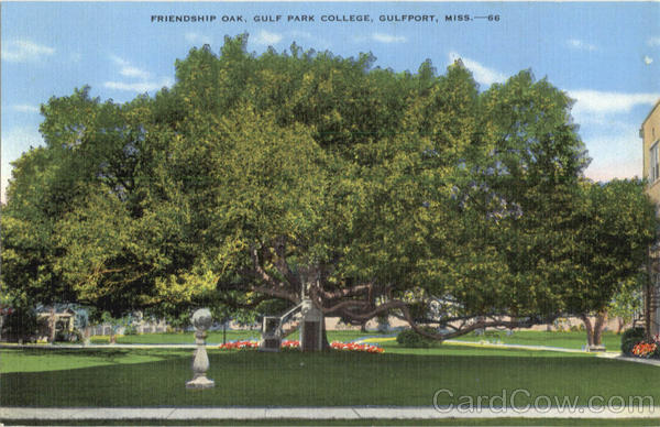 Friendship Oak, Gulf Park College Gulfport Mississippi