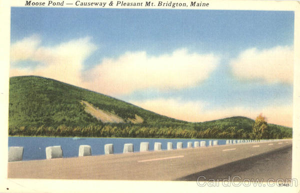 Moose Pond Mt. Bridgton Maine