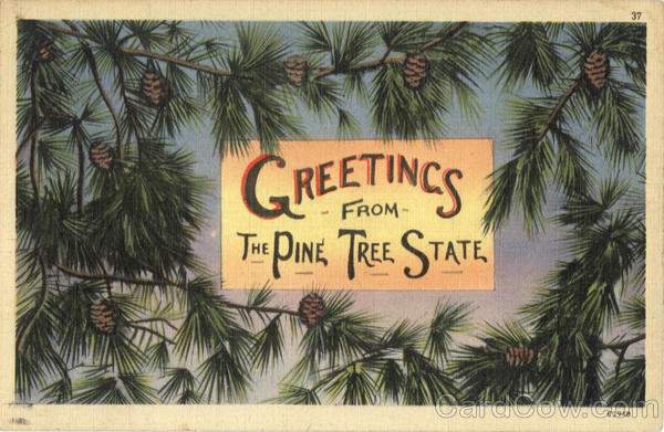 Greetings From The Pine Tree State Scenic Maine