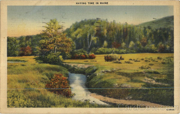 Haying time In Maine Scenic