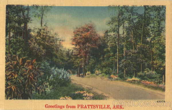 Greetings From Prattsville Arkansas