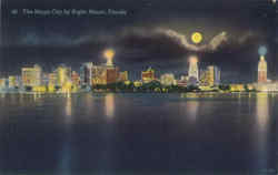 The Magic City By Night Miami, FL Postcard Postcard