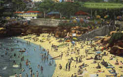 The Cove Postcard