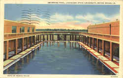 Swimming Pool, Louisiana State University Postcard