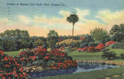 Azaleas In Bloom, City Park New Orleans, LA Postcard Postcard