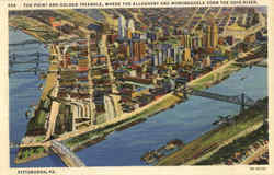 The Point And Golden Triangle Postcard