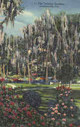 The Oriental Gardens Jacksonville, FL Postcard Postcard