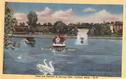 Swans And Fountain At Deerings Oaks Portland, ME Postcard Postcard