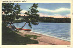 Woods Lake Bridgton, ME Postcard Postcard
