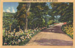 Greetings From The State Of Maine Postcard