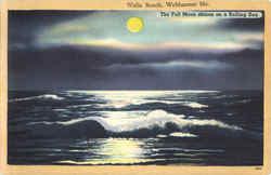 The Full Moon Shines On A Rolling Sea Postcard