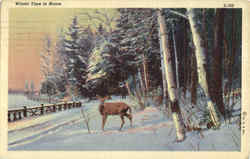 Winter Time In Maine Scenic, ME Postcard Postcard