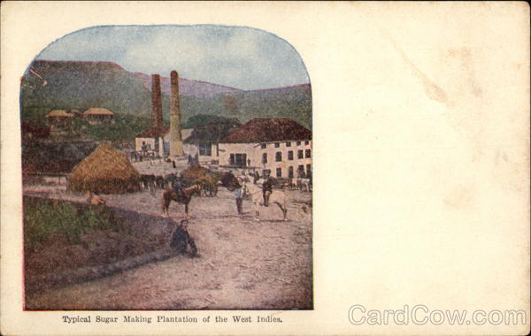 Typical Sugar Making Plantation West Indies Caribbean Islands