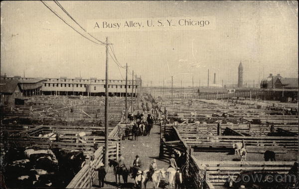 A Busy Alley, U.S.Y Chicago Illinois