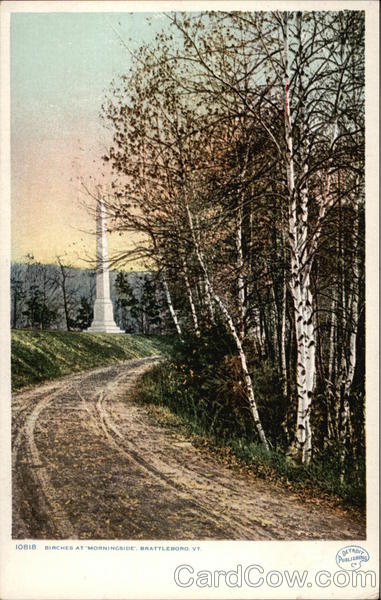 Birches at Morningside Brattleboro Vermont