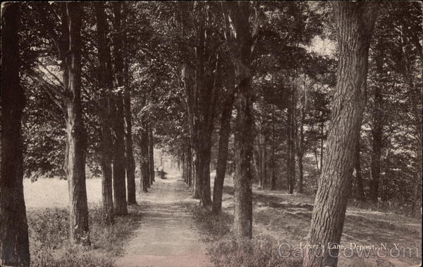 Lover's Lane Deposit New York