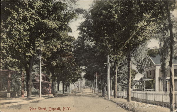 Pine Street Deposit New York