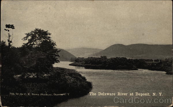 The Delaware River Deposit New York