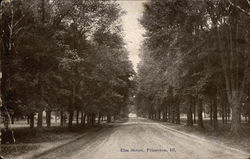 Elm Street Princeton, IL Postcard Postcard