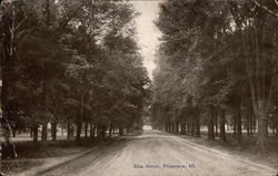 Elm Street Elm Street