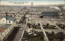 Castle Division, Union Stock Yards South Omaha, NE Postcard Postcard