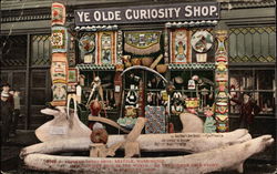 Alaskan Curio Shop Postcard