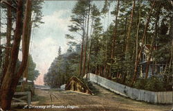 A Driveway Postcard