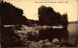 Shore Scene, Lake Sebasticook Postcard