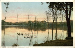 The Lake Como Park St. Paul, MN Postcard Postcard