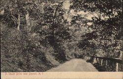 Shady Drive Deposit, NY Postcard Postcard