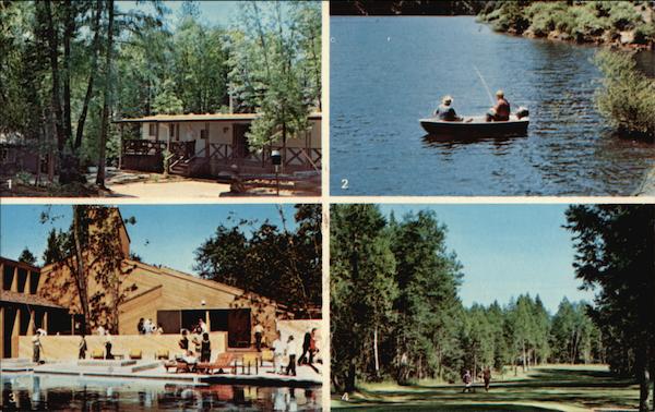 Paradise Pines Magalia California