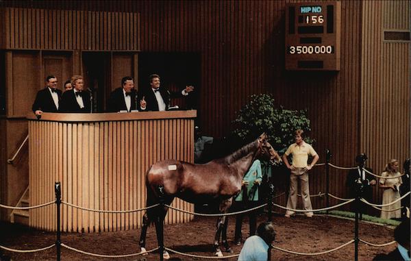 Thoroughbread Horse Auction Keeneland Kentucky Tony Leonard