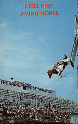 Steel Pier Diving Horse Postcard