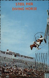 Steel Pier Diving Horse Postcard