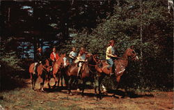 Kyburz, California Postcard