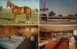 Diamond Hills Motel and Cafe Postcard