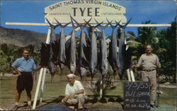 Tyee Saint Thomas, Virgin Islands Caribbean Islands Postcard Postcard