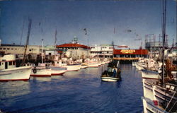 Fisherman's Wharf San Francisco, CA Postcard Postcard