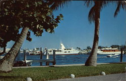 Bahia Mar Yacht Basin Fort Lauderdale, FL Postcard Postcard