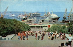 Ships at Port Postcard