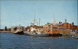 Harbor at Woods Hole Postcard
