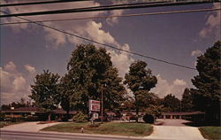 Maplewood Motel Postcard