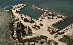 Newfound Harbor Marine Institute Postcard