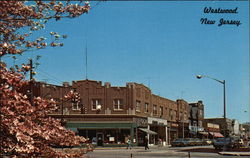 Bergen County Westwood, NJ Postcard Postcard