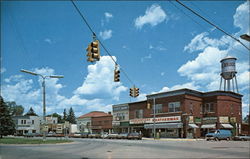 Business Section Brooklyn, MI Postcard Postcard