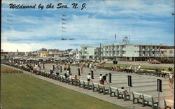 Shuffleboard Courts and Rio Motel Wildwood, NJ Postcard Postcard