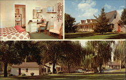 The Willows Motel Postcard