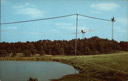 Buffalo Ranch Postcard