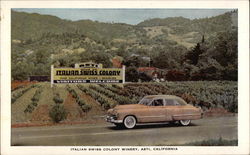 Italian Swiss Colony Winery Postcard